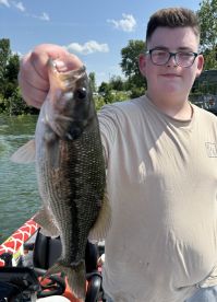 Branson Report Photo 1