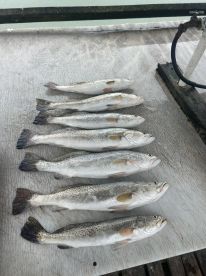 Port Isabel Report Photo 2