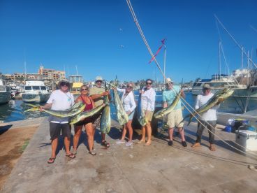 Quite the season! Bigger Dorado are show