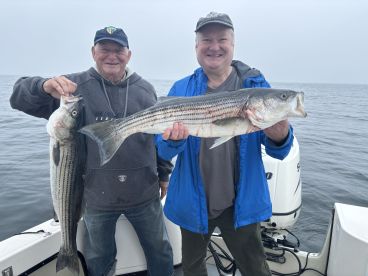 Cape Cod Report Photo 1