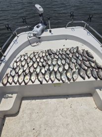 The actions like the summer heat 