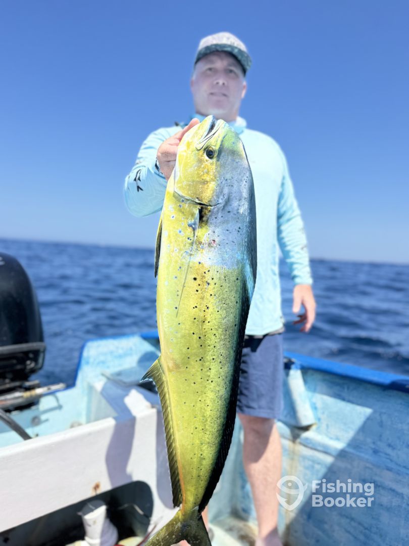 San Jose del Cabo Report Photo 0