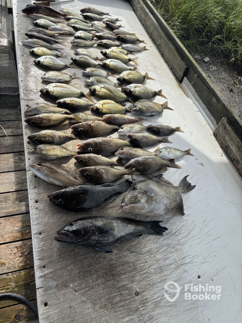 Calabash Report Photo 0