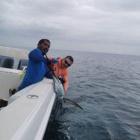 90lb Sailfish that was safely released