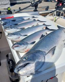Salmon fishing is heating up!!