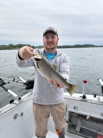 Brown trout 