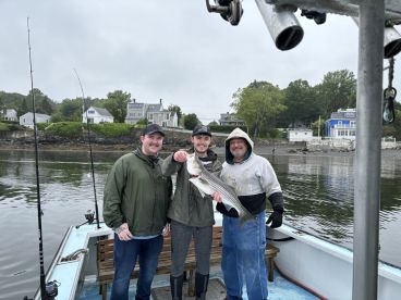 Kittery Report Photo 2