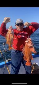 Half Moon Bay Report Photo 1