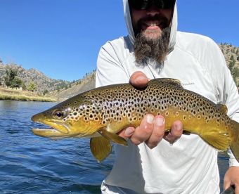 Madison River Trout Rodeo!