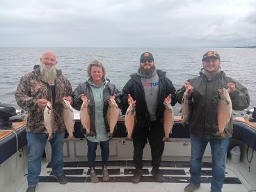 Brown Trout Bonanza!!