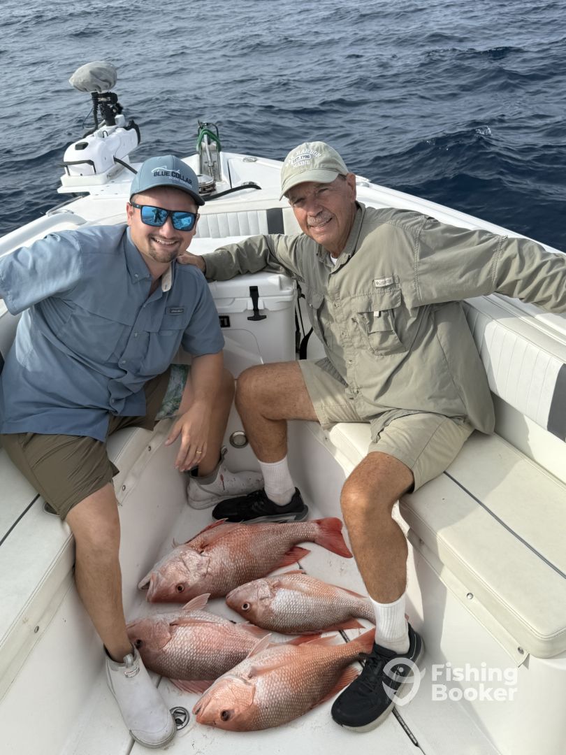 Pinellas County Report Photo 0