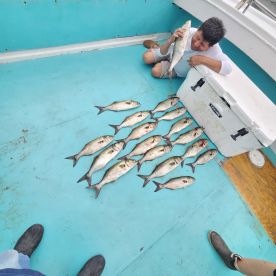 Chesapeake Beach Report Photo 1