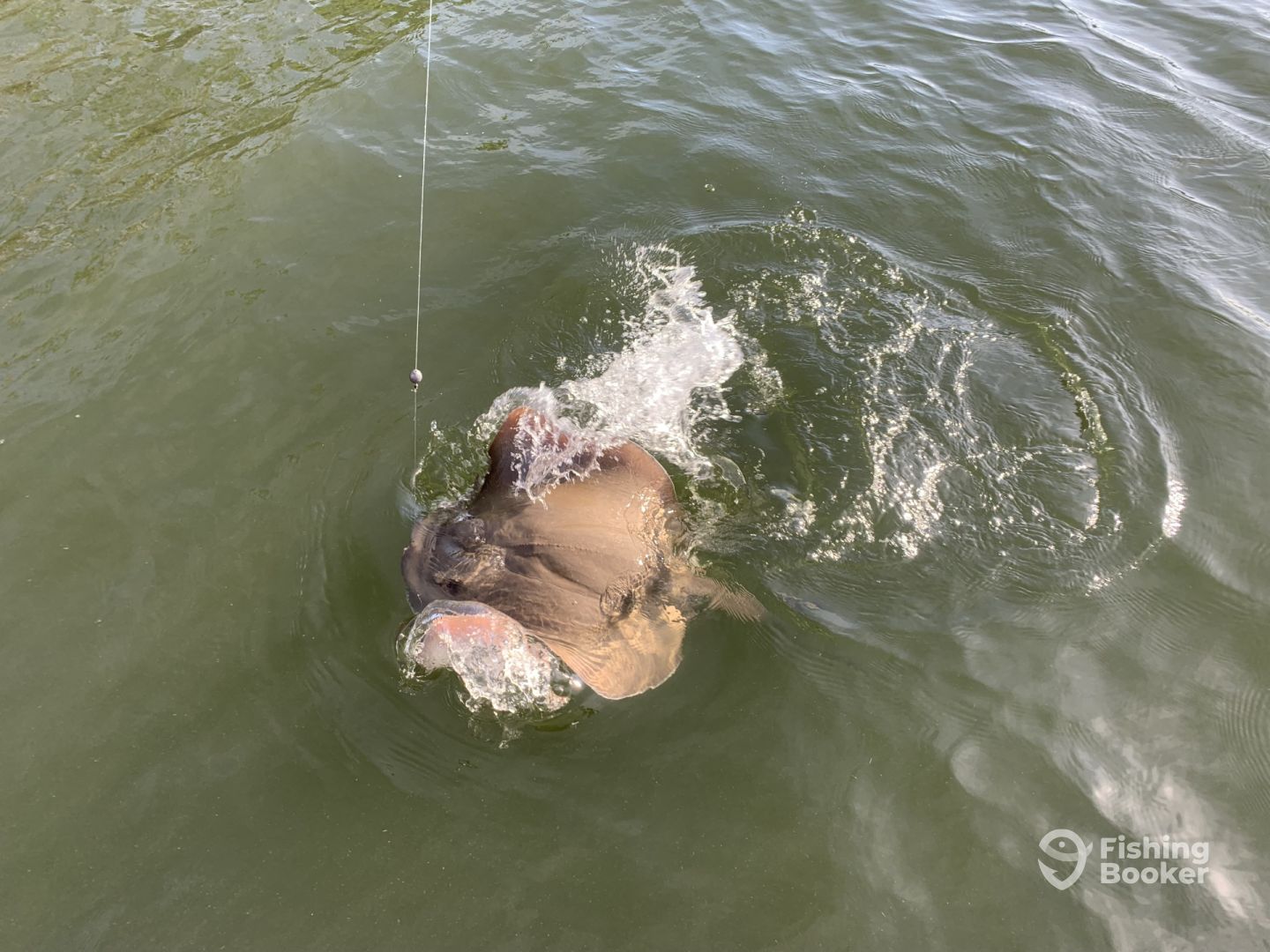 Bonita Springs Report Photo 0