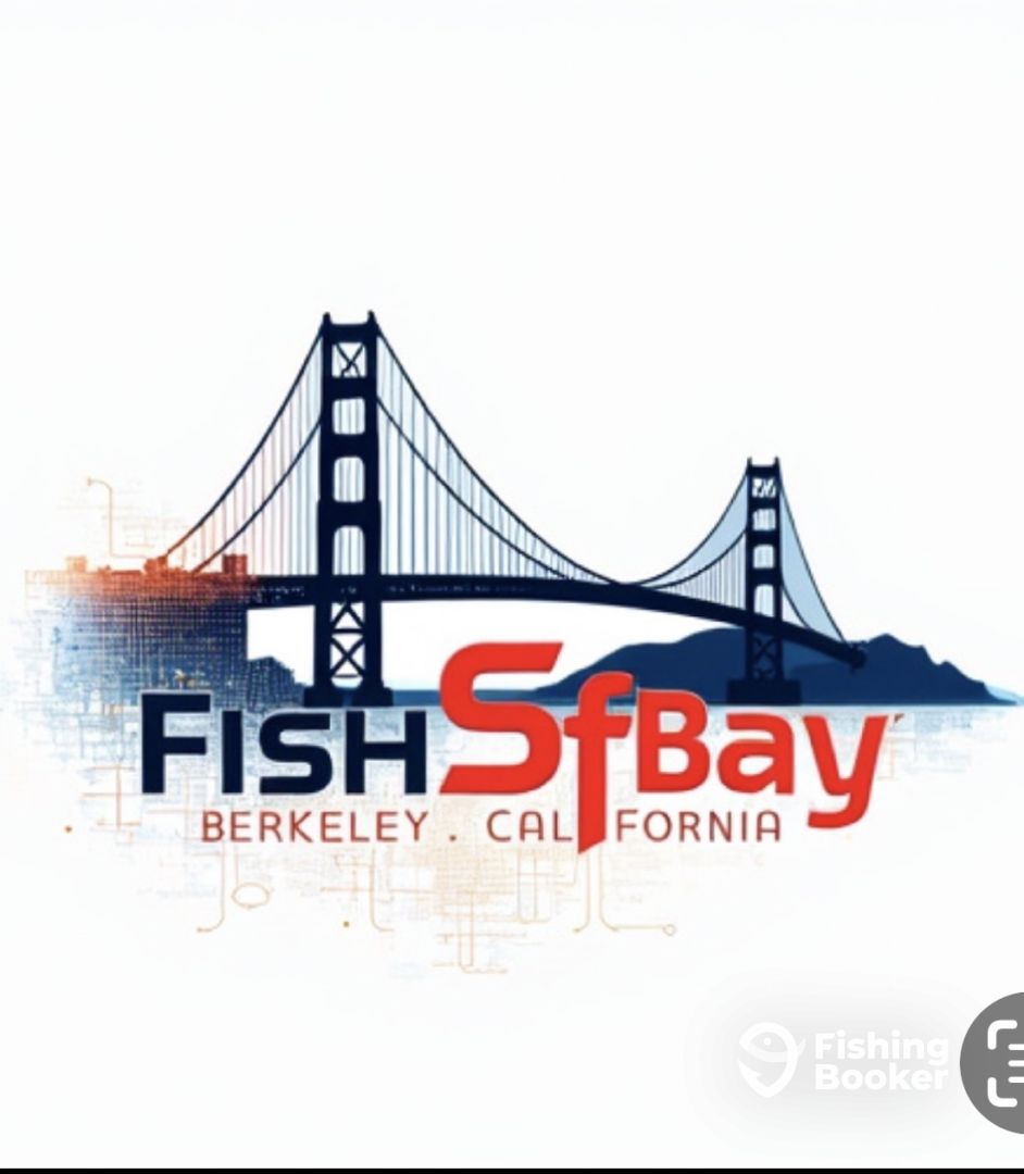 Berkeley Report Photo 0