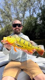 Weston Report Photo 1