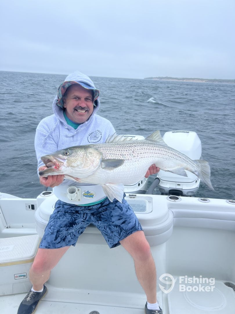 South Kingstown Report Photo 0
