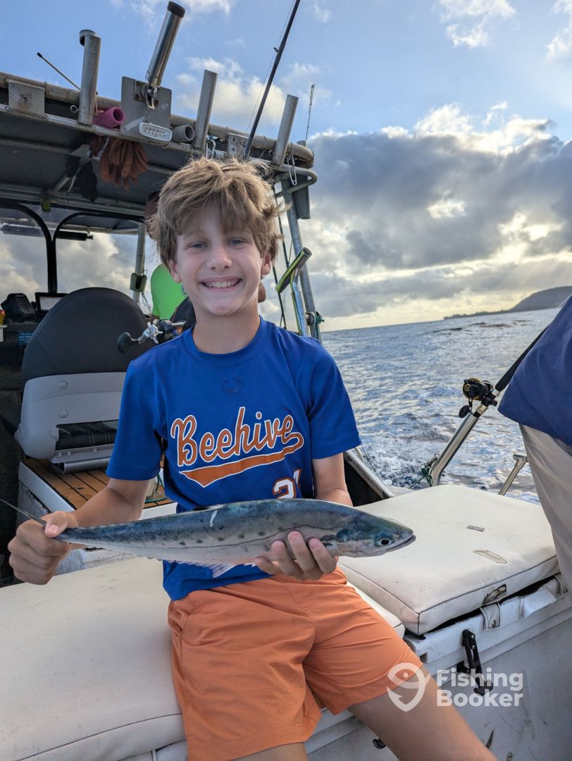 Haleiwa Report Photo 0