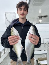 Jamaica Bay Report Photo 2