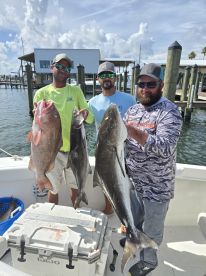 Panama City Report Photo 1