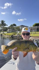 Delray Beach Report Photo 1