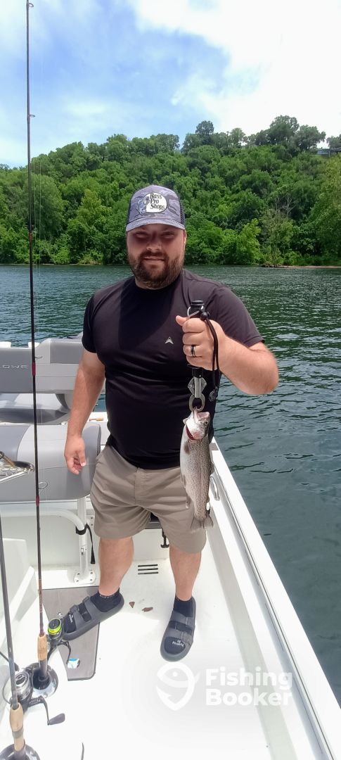 Branson Report Photo 0