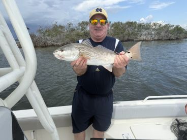Got our reds