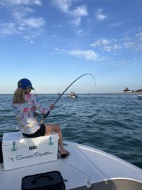 Tarpon