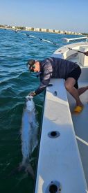 Tarpon
