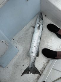 AMAZING FISHING