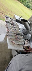 Catching fish and not fishing for fish