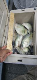Catching fish and not fishing for fish
