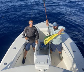 Mahi for Days