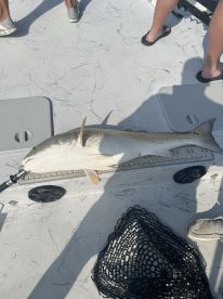 Great captain!  Great experience!