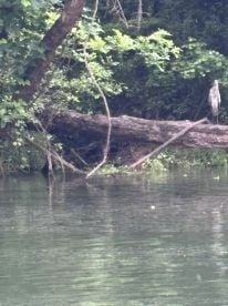 Fishing with Justin