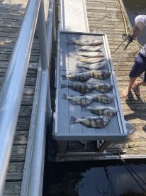 Fish On