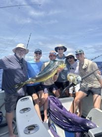 Beautiful Mahi Mahi