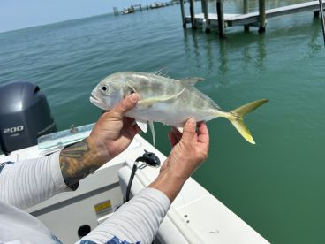 Catching fish is better than fishing! Proved it\u2026