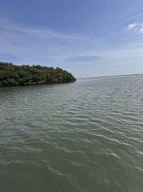 Best charter in Florida