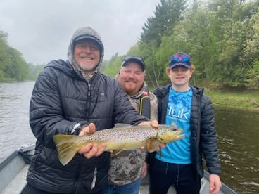 Muskegon River Brown Trout
