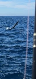 May fishing trip