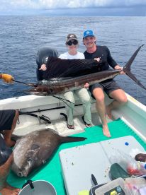 Mahi, multiple sailfish, and a sunfish! 