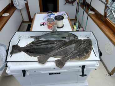 Fish On!
