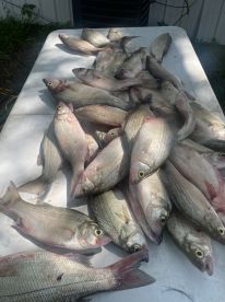 Amazing fishing trip