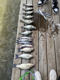 Fantastic fishing trip 
