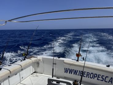 Tuna fishing 