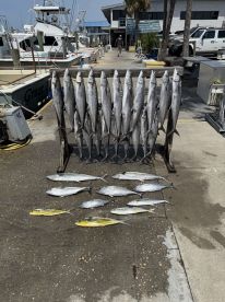 Great 4 hour trolling trip