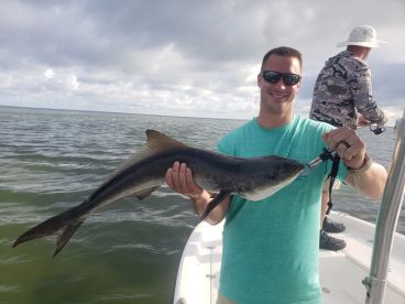 Surprise Cobia