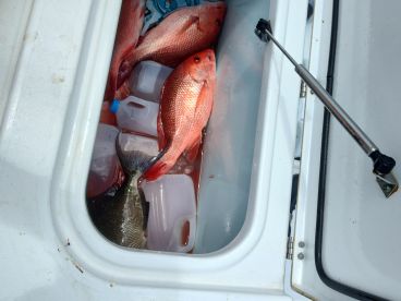 A excellent fishing trip 