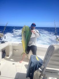 Mahi Mahi dream