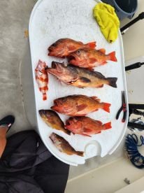 Fabulous fishing trip!